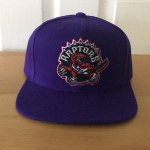 Raptors baseball hat